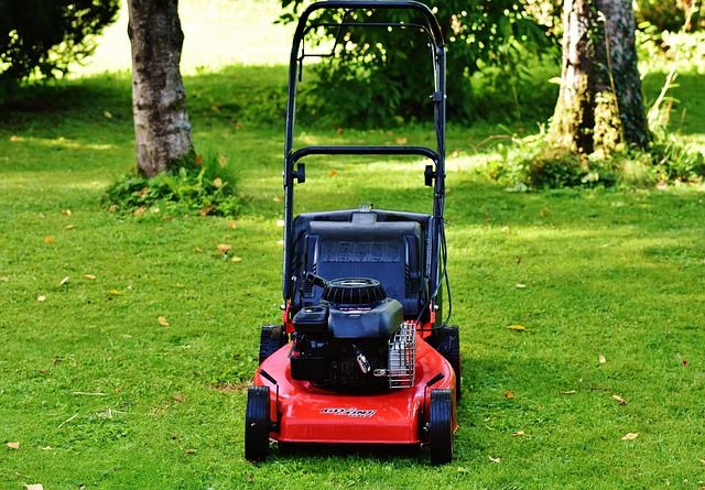 lawn care killeen